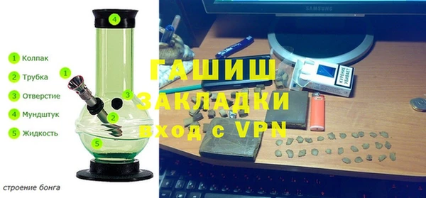 ГАЛЛЮЦИНОГЕННЫЕ ГРИБЫ Гусиноозёрск