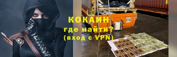 ALPHA PVP Гусев