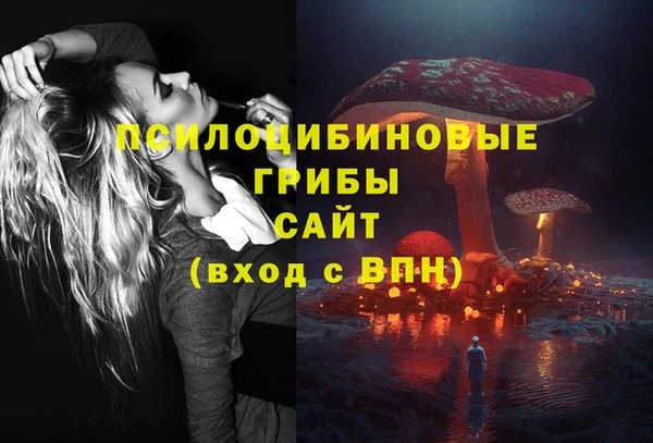 ГАЛЛЮЦИНОГЕННЫЕ ГРИБЫ Гусиноозёрск