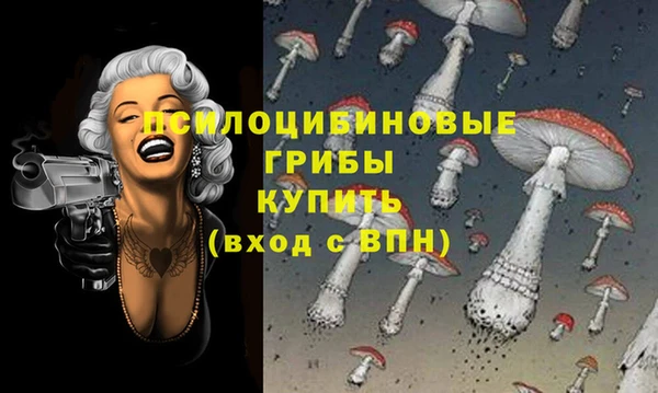 ГАЛЛЮЦИНОГЕННЫЕ ГРИБЫ Гусиноозёрск