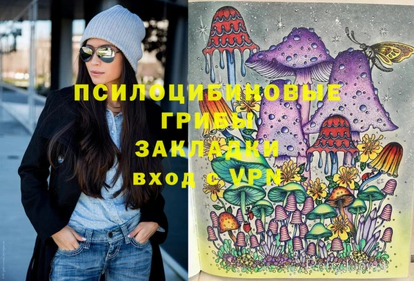 ГАЛЛЮЦИНОГЕННЫЕ ГРИБЫ Гусиноозёрск