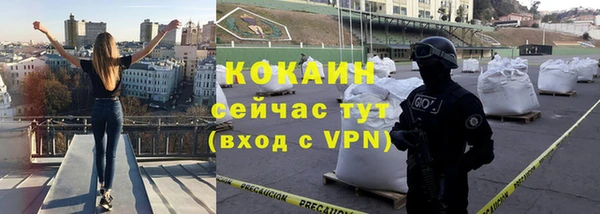 ALPHA PVP Гусев